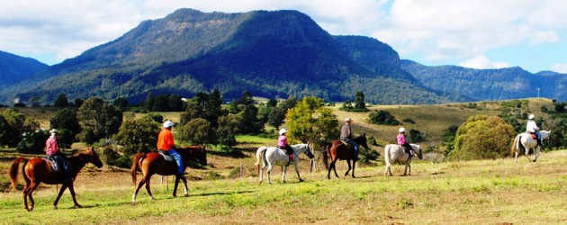One-hour trail ride through the foothills of the Lost World Valley