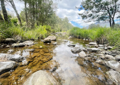 Explore the Creek Cedar Glen Farmstay Scenic Rim